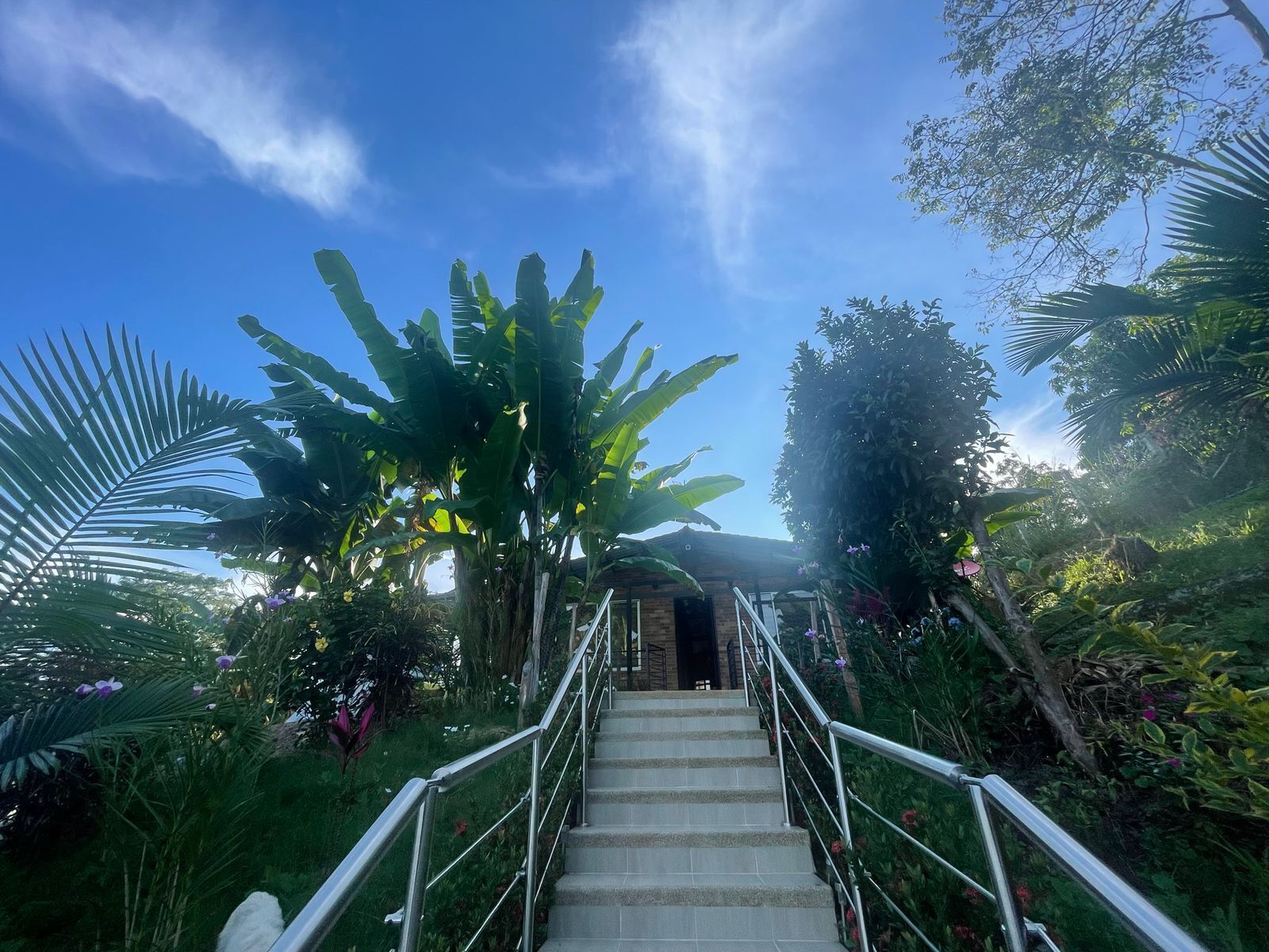A staircase leading to a building surrounded by lush greenery and a clear blue sky.