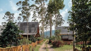 Una cabaña rústica con un sendero de tierra que la lleva a ella, rodeada de árboles altos y una valla de madera.