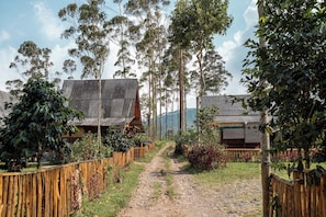 A rustic cabin with a dirt path leading to it, surrounded by tall trees and a wooden fence.