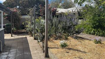 A garden with a paved walkway, various plants, and a wooden fence.
