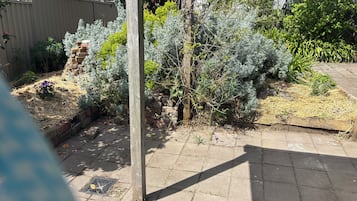 A garden with various plants and a wooden post.
