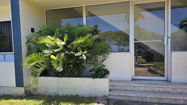 A modern building with a glass door, a concrete planter with green foliage, and a set of stone steps leading to the entrance. - Azul Puerto Del Malecon (Puerto Plata)
