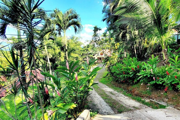Apartment, 1 Bedroom, Patio | Garden