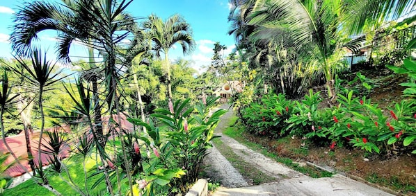 Apartment, 1 Bedroom, Patio | Garden - Romantic Suite With Pool (Peñas Blancas)