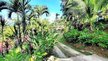 Apartment, 1 Bedroom, Patio | Garden