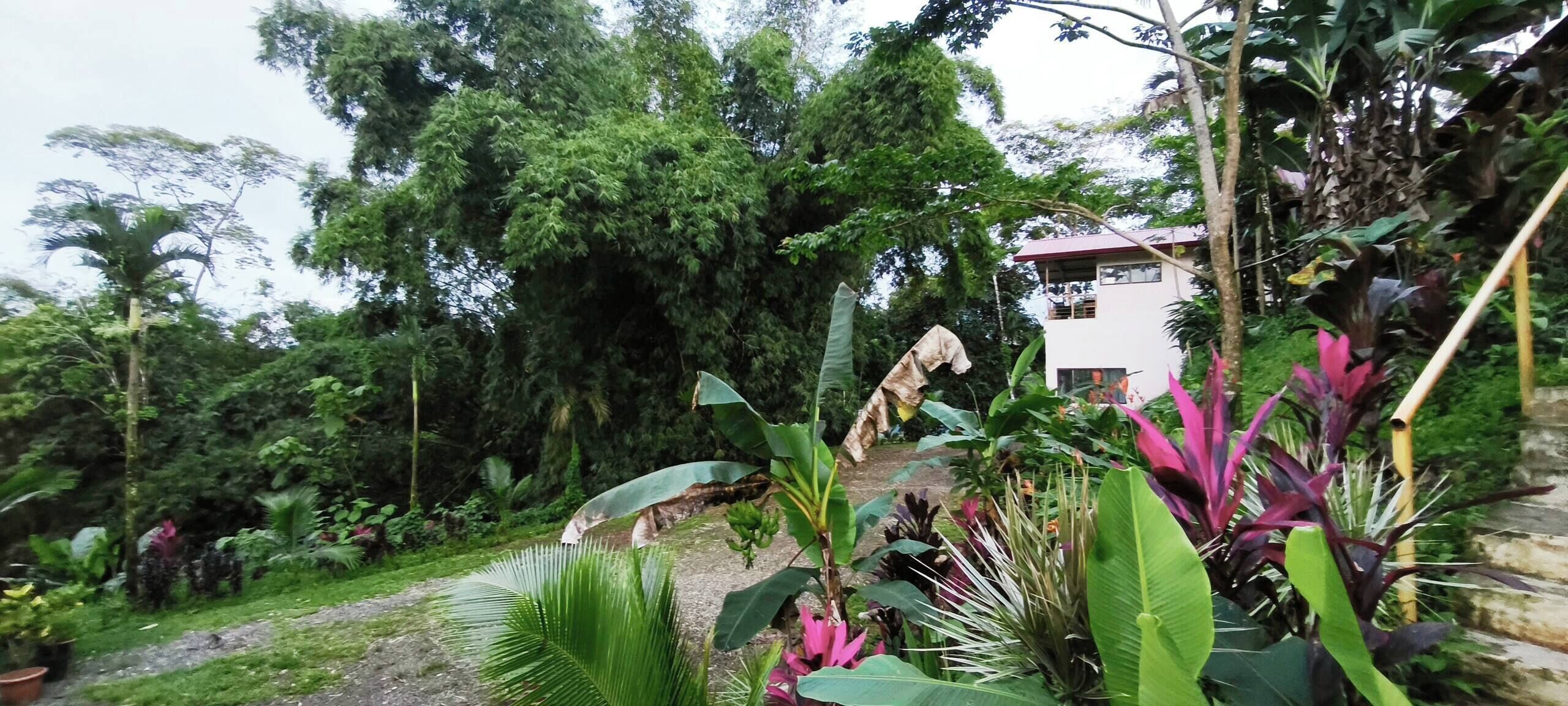 A lush garden with various plants and a white building with a red roof.