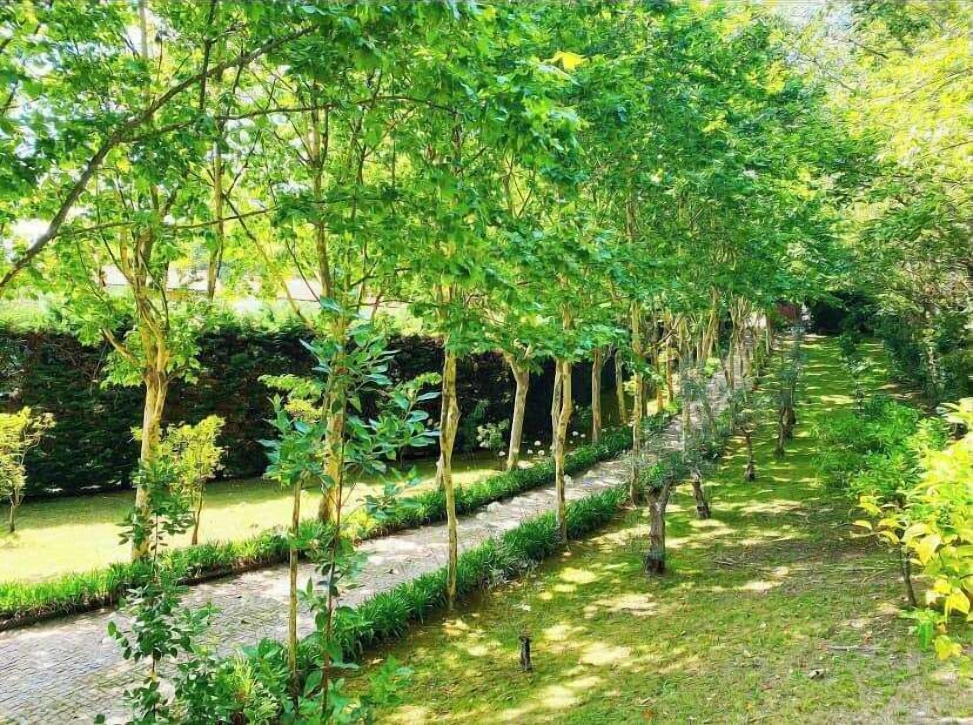 Parco della struttura