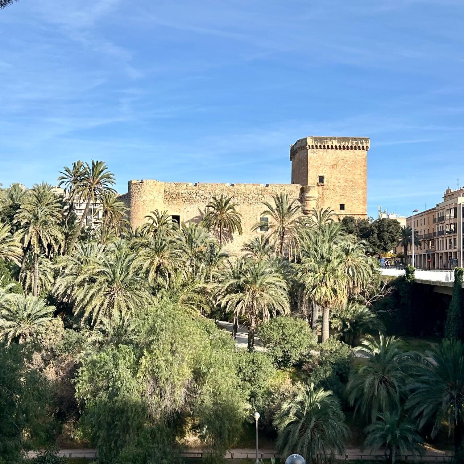 A historic building with a tower, surrounded by palm trees and modern buildings.