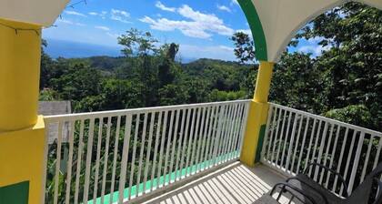Barefoot Apartments
