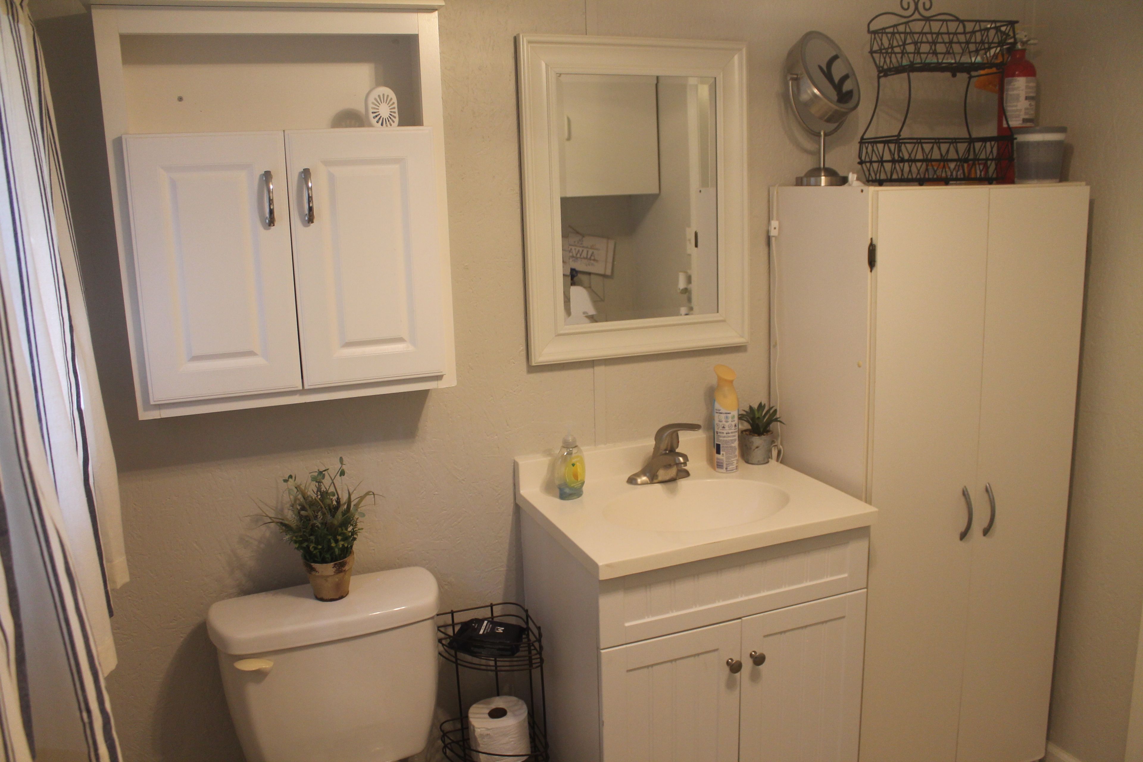 A bathroom with a toilet, sink, mirror, cabinet, and a small potted plant.
