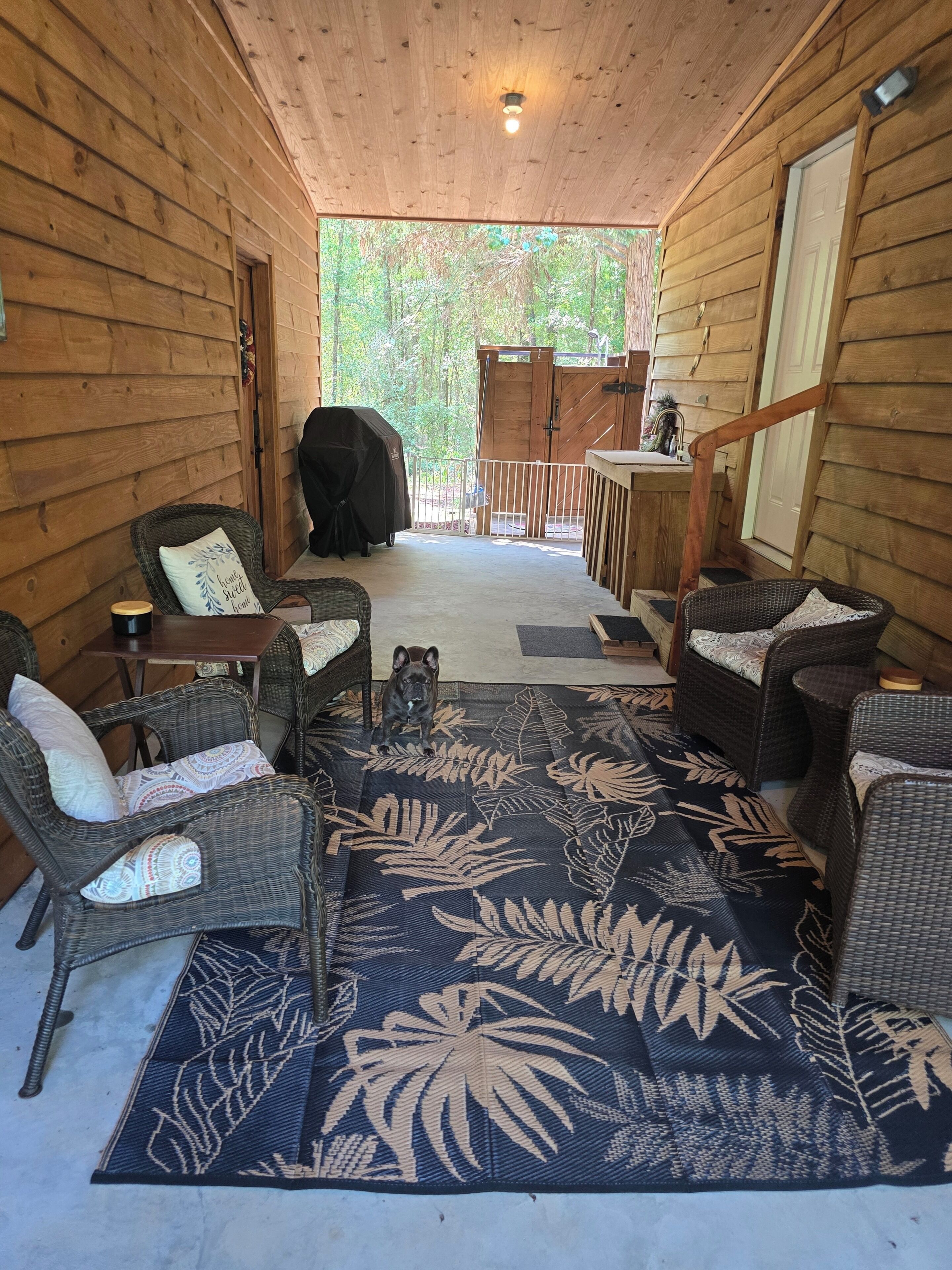 A wooden cabin with wicker furniture, a dog, and a view of the outdoors.