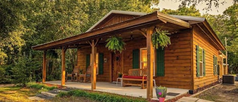 A wooden cabin with a porch, a bench, and a potted plant.