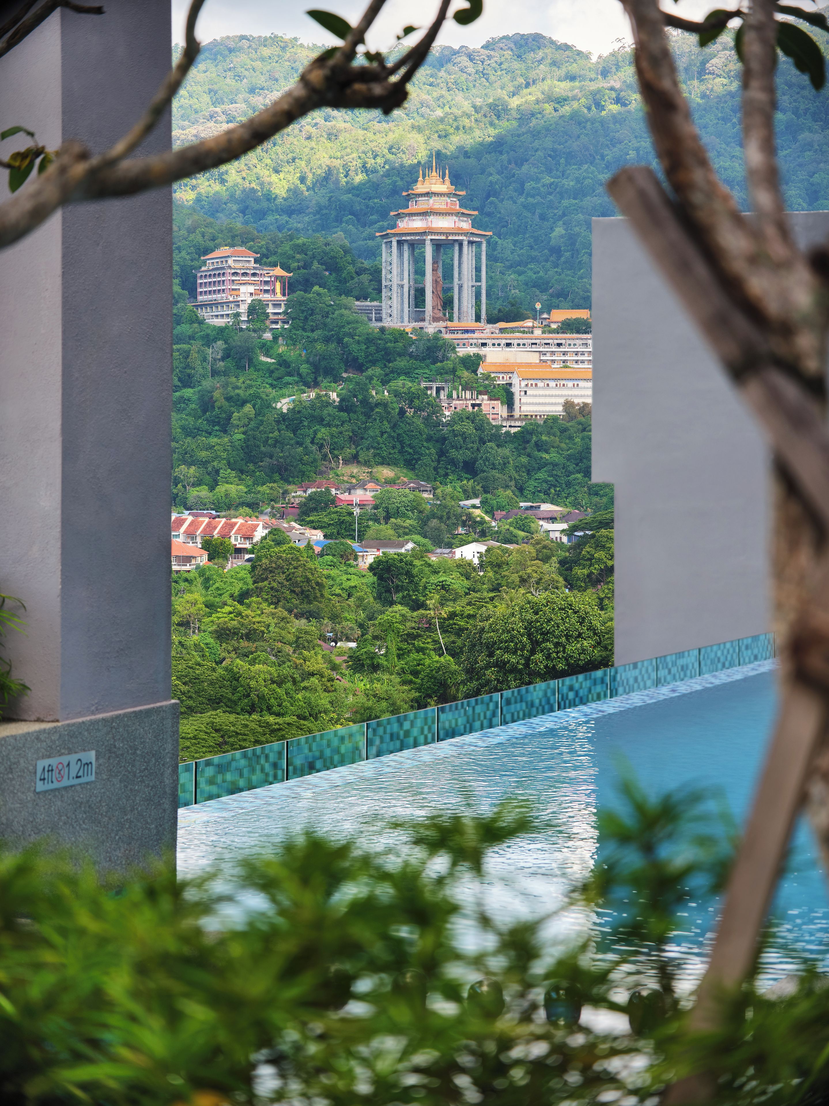 A view of a swimming pool with a clear sky and lush greenery in the background.