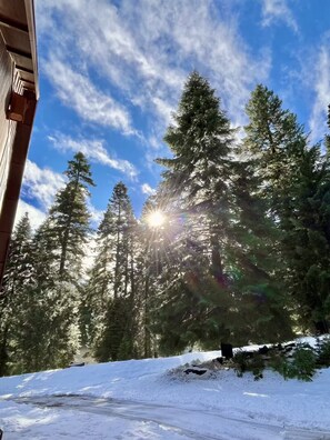 Property grounds - Woodlake Retreats Cozy Cabin + decks and firepit (Ashland)