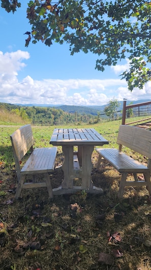 Outdoor dining - Peaceful country rustic glamping cottage- stargazing and mountain views (Saltville)