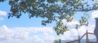 Peaceful country rustic glamping cottage- stargazing and mountain views
