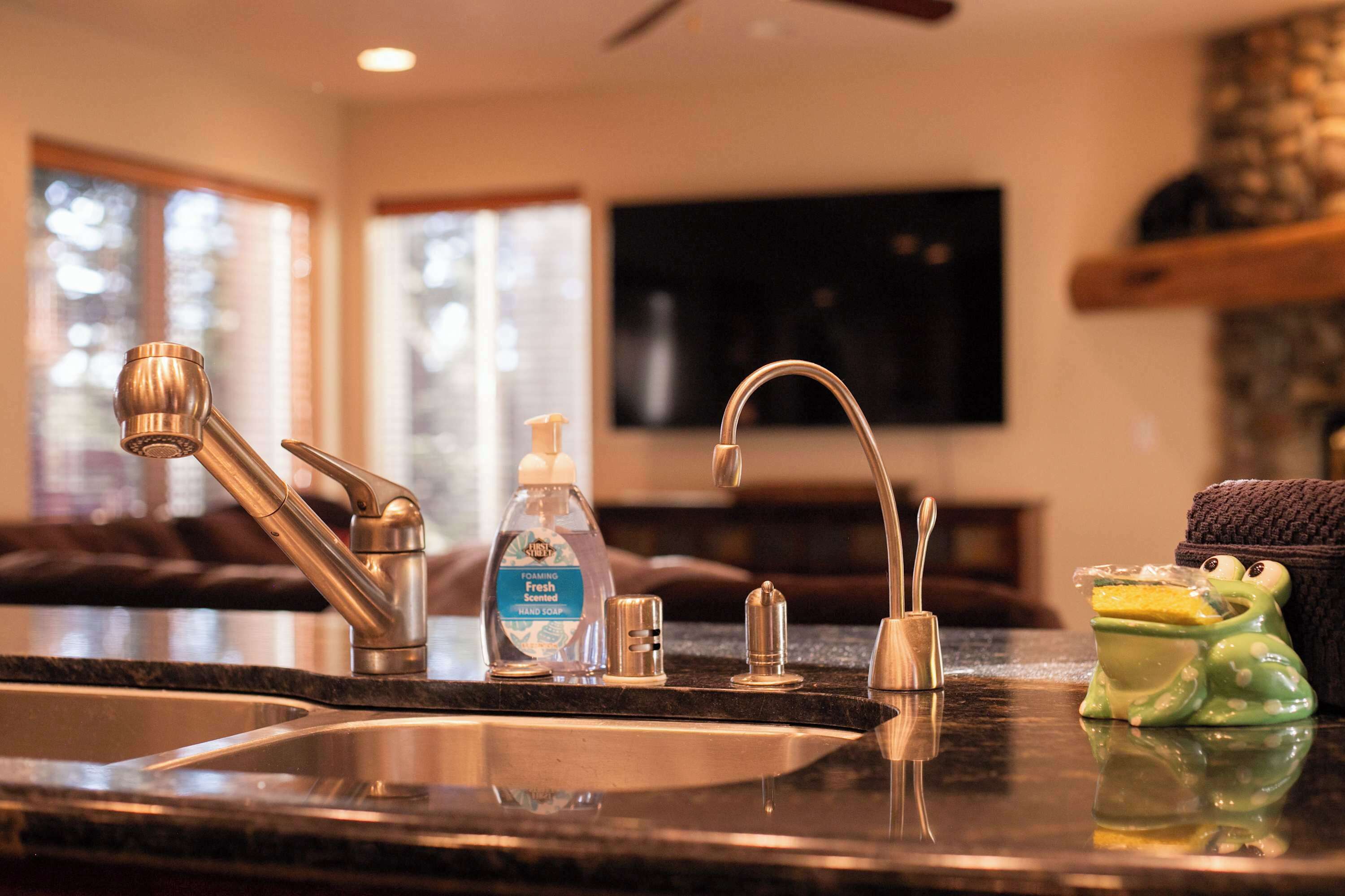 A kitchen with a stainless steel sink, a bottle of hand soap, and a frog-shaped soap dispenser.