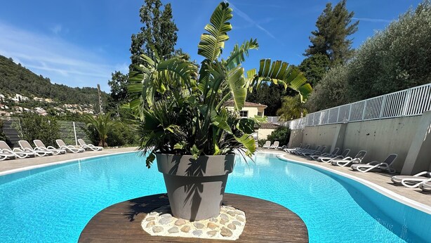 A swimming pool with a wooden deck, lounge chairs, and a potted plant.