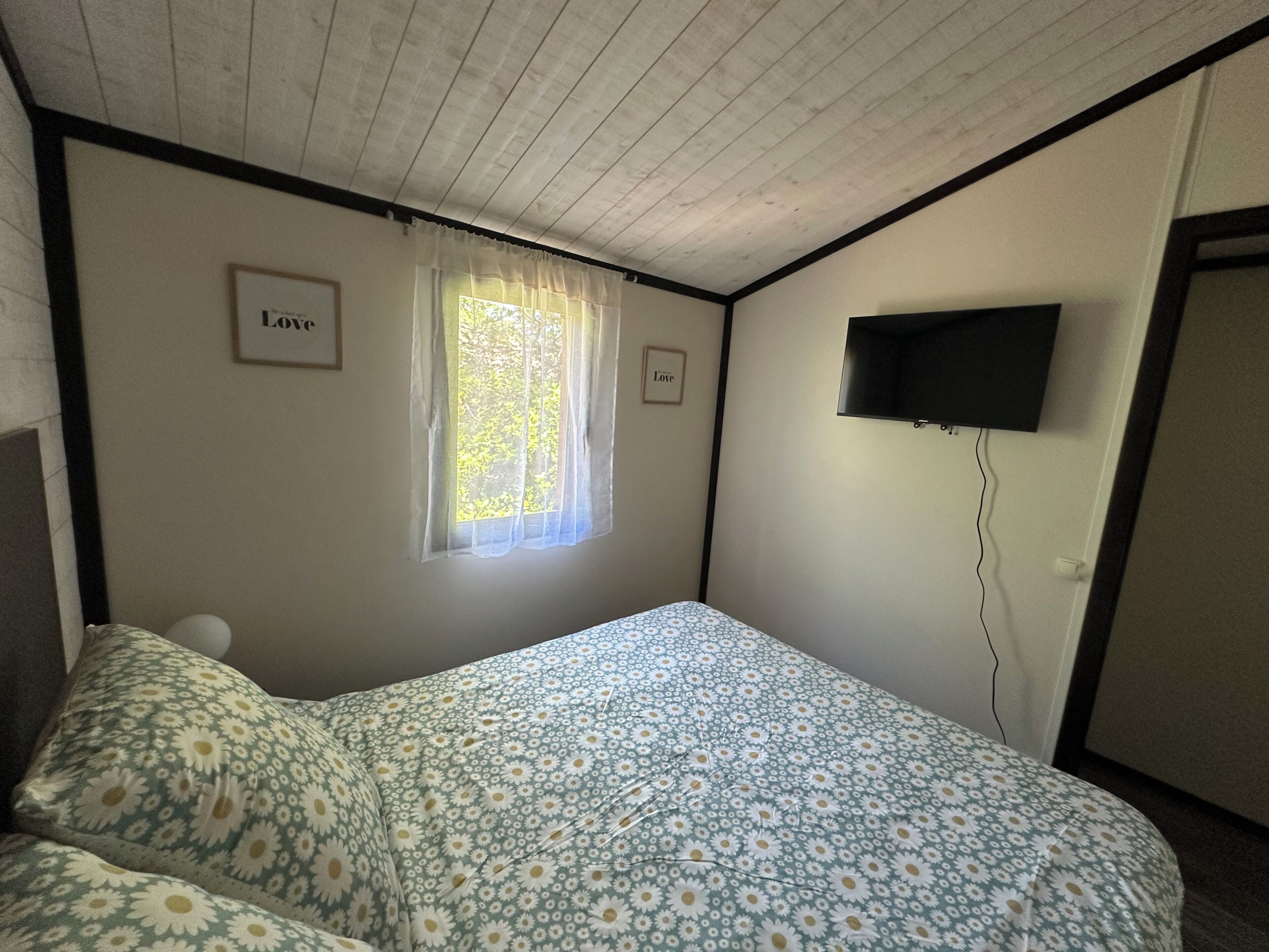 A bedroom with a bed, a window with curtains, a wall-mounted TV, and a door.