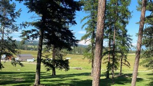 A grassy area with trees and a distant building.