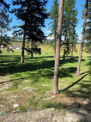 Une zone herbeuse avec des arbres et un bâtiment situé au loin.