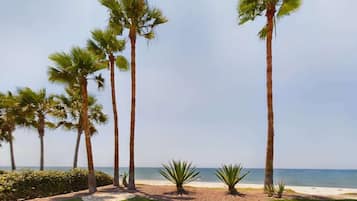 Una spiaggia nelle vicinanze