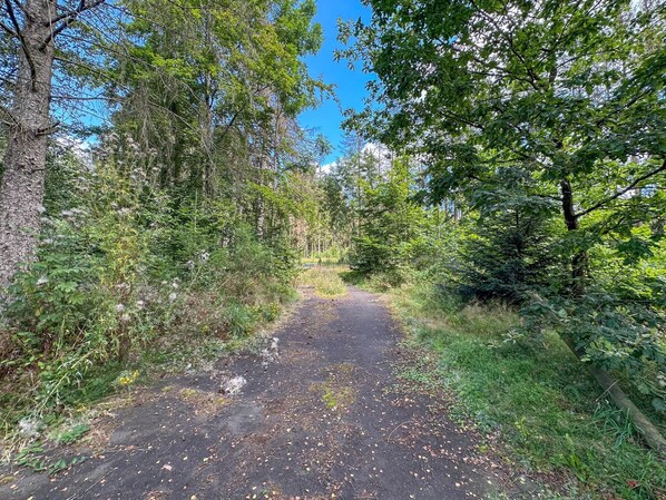 A paved path surrounded by dense greenery and trees. - Luxury detached home with garden and sauna (Brandscheid)