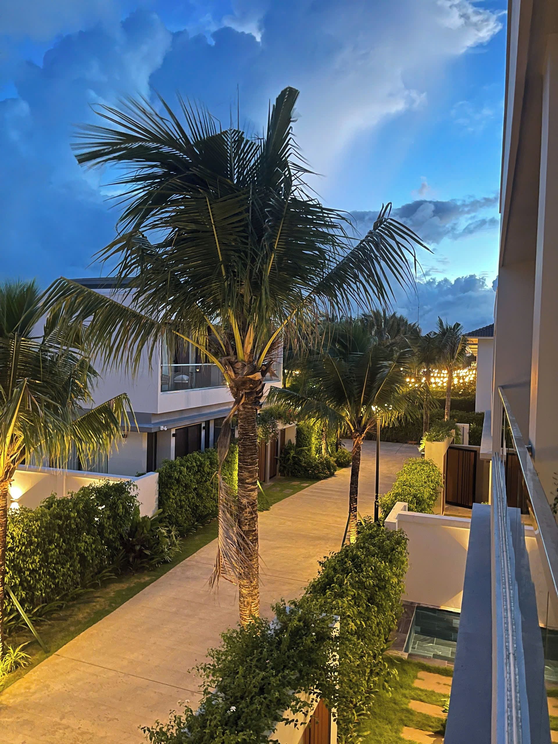 Zona residencial con un sendero, palmeras y casas modernas.