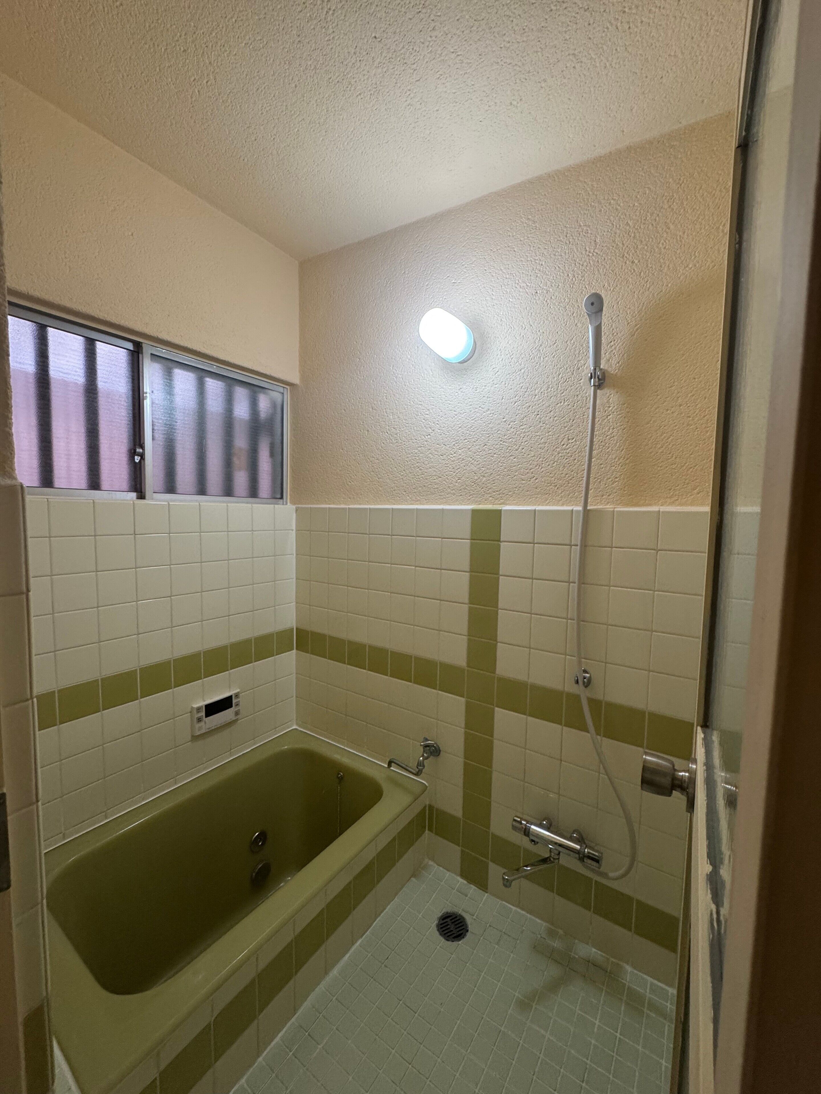 Hair dryer, towels, shampoo, toilet paper