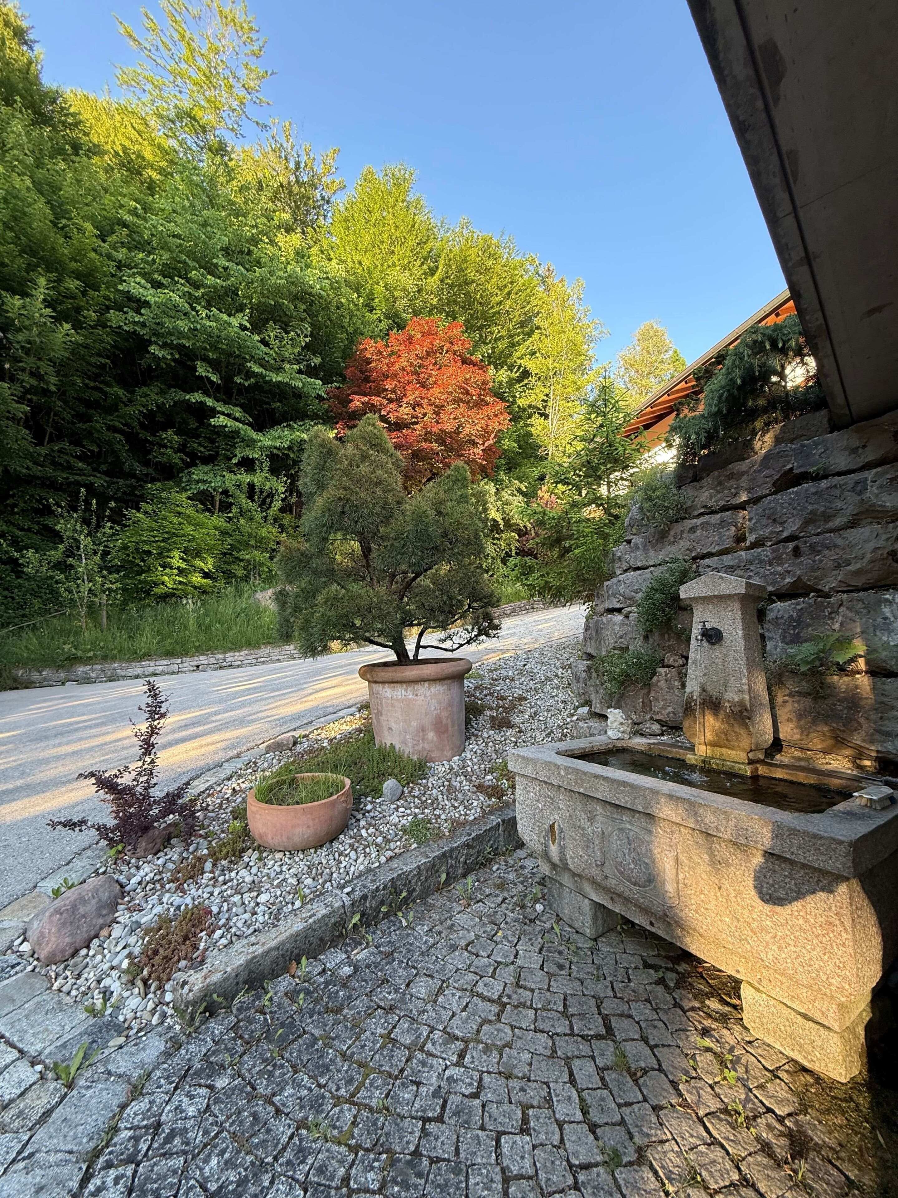 A stone pathway leading to a building with a water feature and potted plants.