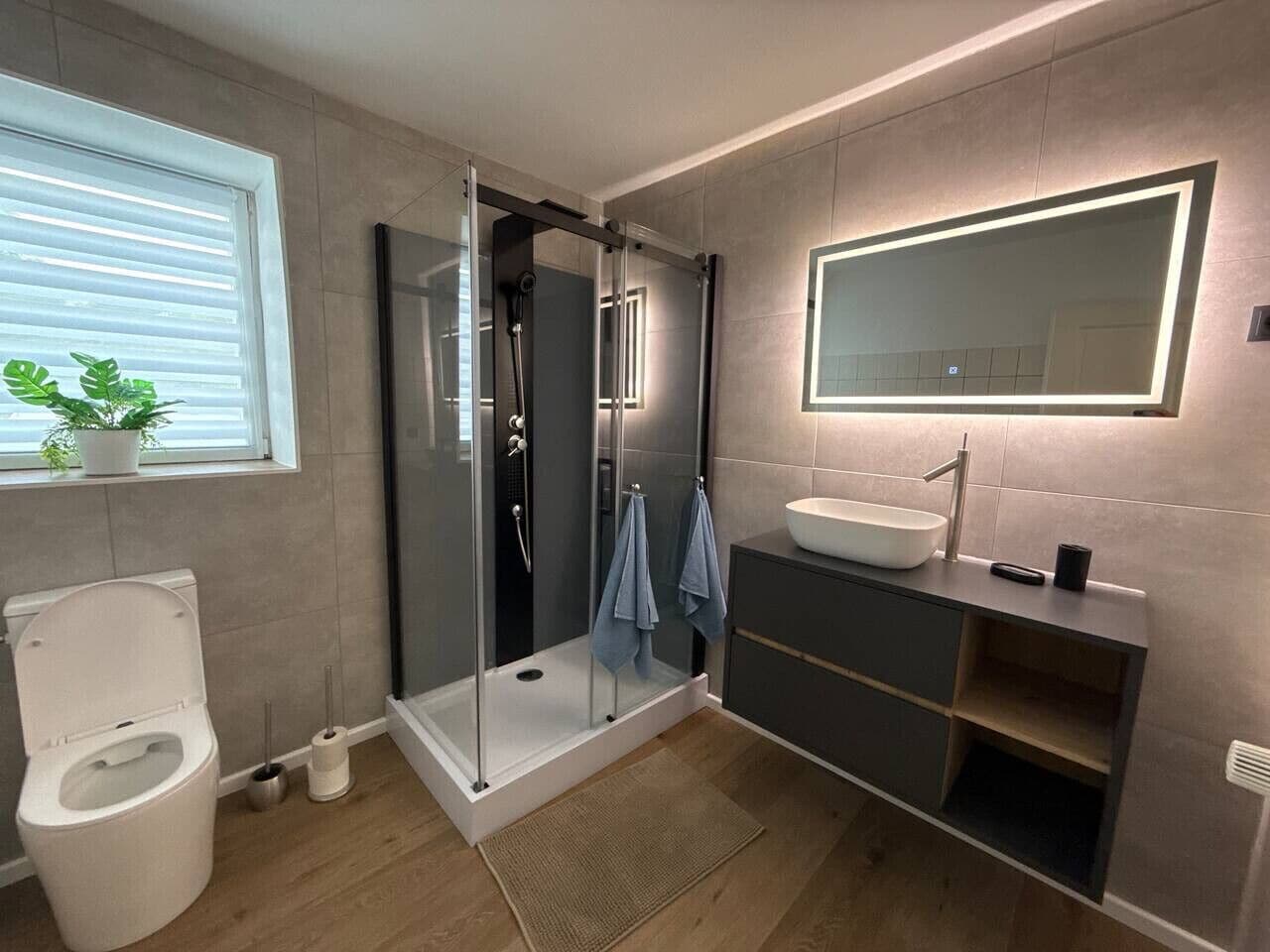 Une salle de bain moderne avec une douche en verre, des toilettes blanches, un lavabo avec un miroir et une plante en pot près de la fenêtre.