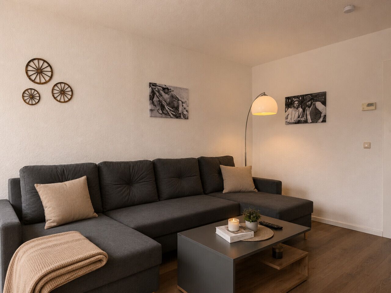 Fernseher, Bücher