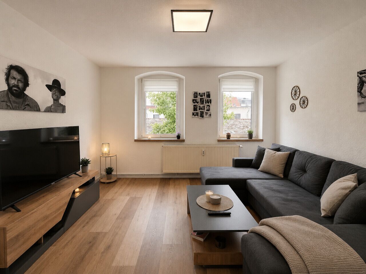 Fernseher, Bücher