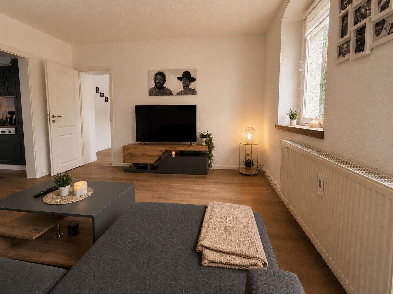 Fernseher, Bücher