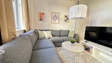 Fernseher