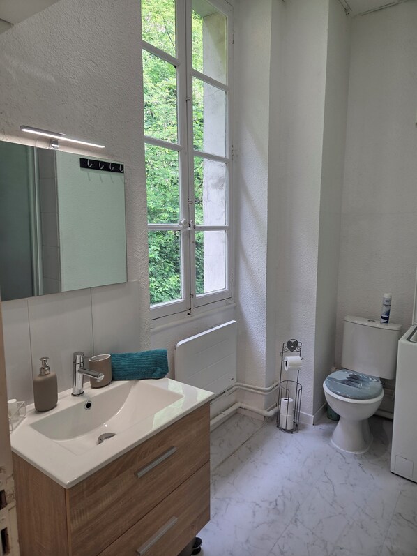 Shower, hair dryer, towels, toilet paper