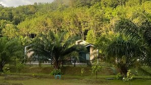 Un paisaje verde exuberante con un edificio rodeado de vegetación densa y un cielo despejado.