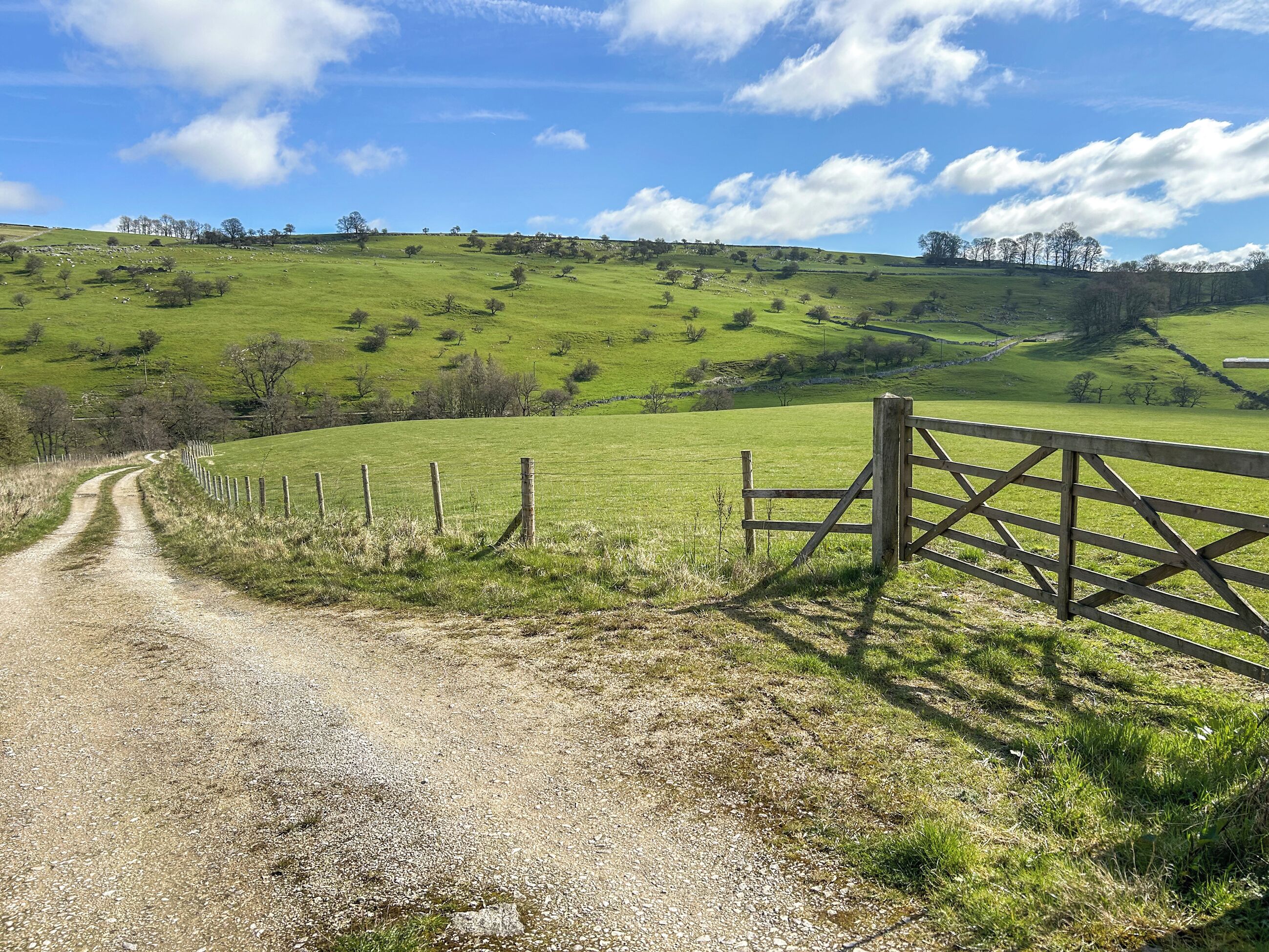 Ländliche Landschaft mit einem Kiesweg, der zu einem Holztor führt.