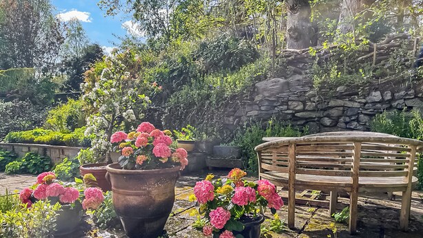 Um jardim com plantas em vasos, um banco de madeira e uma parede de pedra.