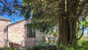 Un edificio de piedra con una ventana, rodeado de follaje y un árbol.