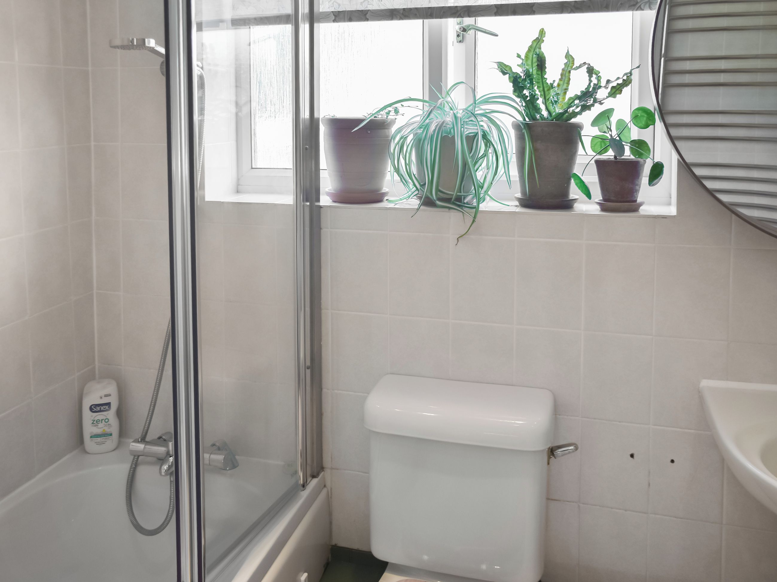 Une salle de bain avec une douche à parois de verre, des toilettes et des plantes en pot sur le rebord de la fenêtre.