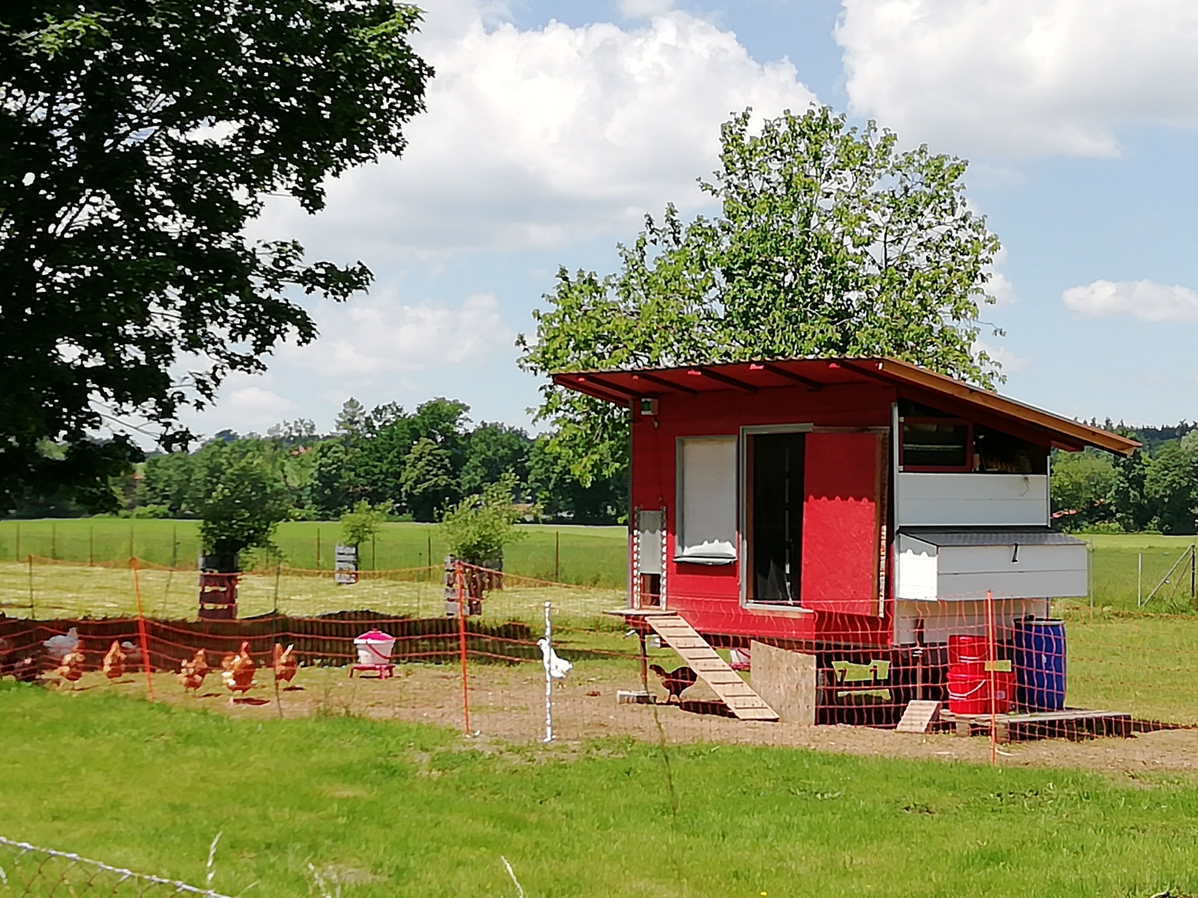 Ein rotes Bauerngebäude mit einem kleinen Anbau, umgeben von einer Einfriedung mit Hühnern und einer Windkraftanlage.