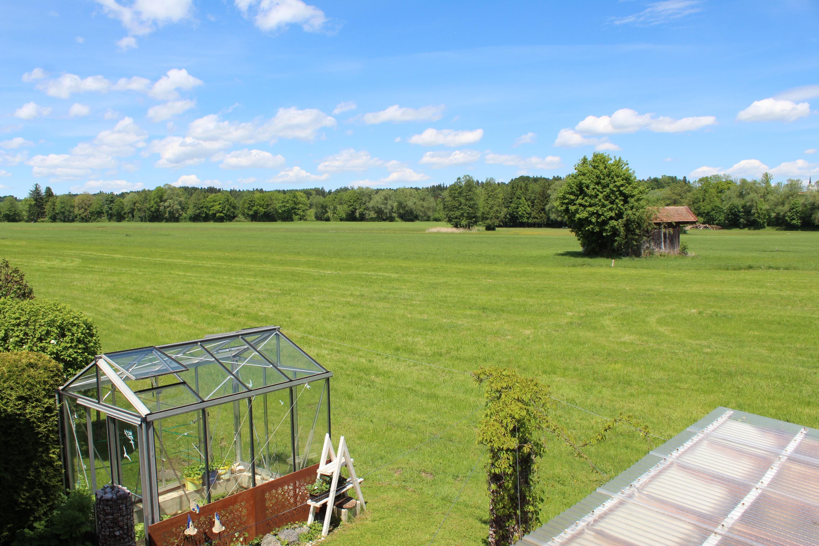 Een kas met een transparant dak, omgeven door een grasveld en bomen.