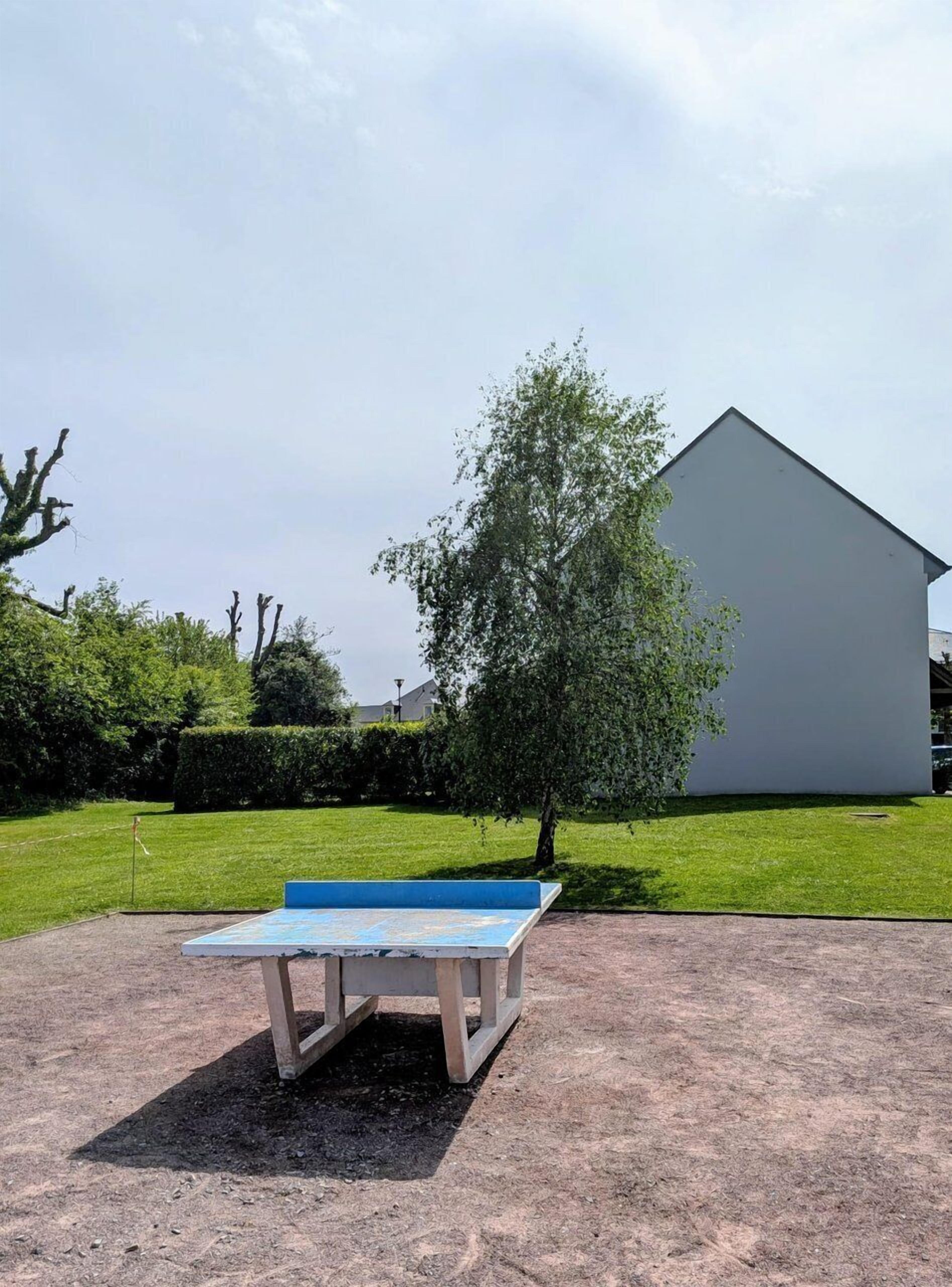 Eine Beton-Terrasse mit einer blau-weißen Bank, einem Baum und einem weißen Gebäude im Hintergrund.