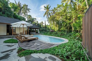 Luxury Villa, Pool View | View from room - Villa Sorento (Petulu)