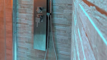 Shower, hair dryer, toilet paper