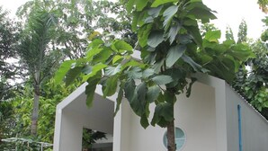 A small, white building with a covered entrance and steps leading up to it. - Homeku Guesthouse Room 3 Cozy Stay Close to Suvarnabhumi Airport (Lat Krabang)