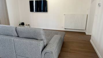 Een woonkamer met een grijze bank, een flatscreen televisie aan de muur en een witte radiator.