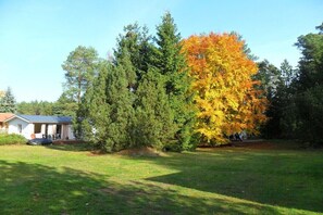 Una casa con portico, prato e un grande albero dai colori autunnali.