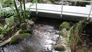 A bridge over a small stream with rocks and plants on either side. - Homeku Guesthouse Room 4 Cozy Stay Close to Suvarnabhumi Airport (Lat Krabang)